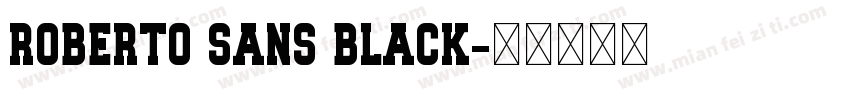 Roberto Sans Black字体转换